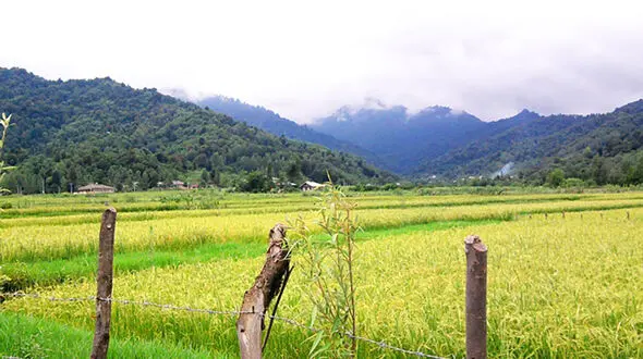 گشت و گذار در روستای شولم + فیلم