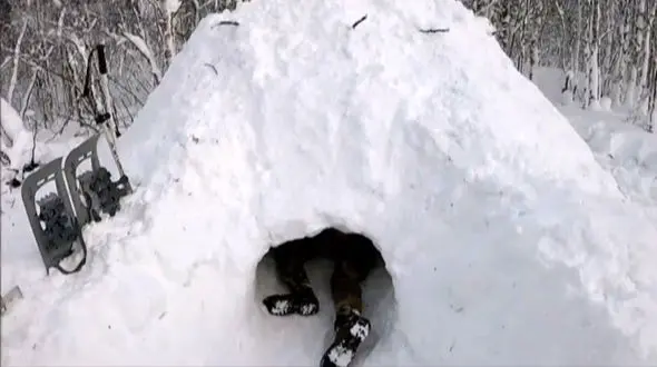 پناهگاه برفی در دل طبیعت + فیلم