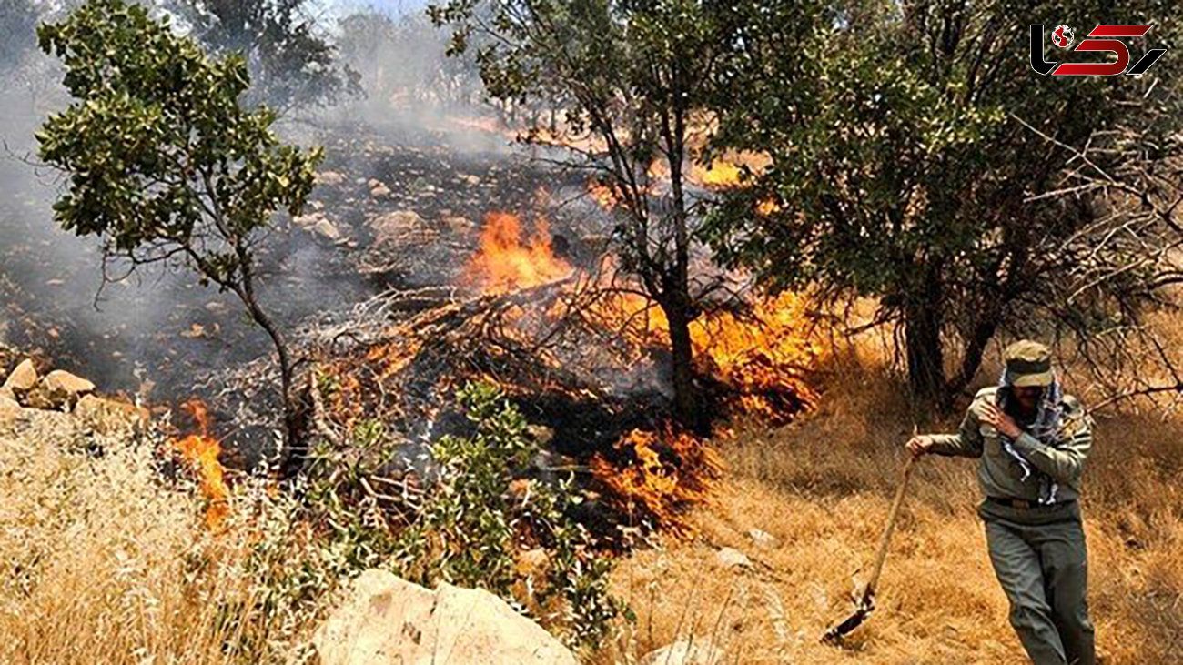 خشکسالی آتش‌سوزی در مراتع را سرعت می‌دهد / در همدان رخ داد