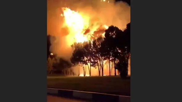 آتش سوزی چند درخت در میدان قائم (ع) مشهد