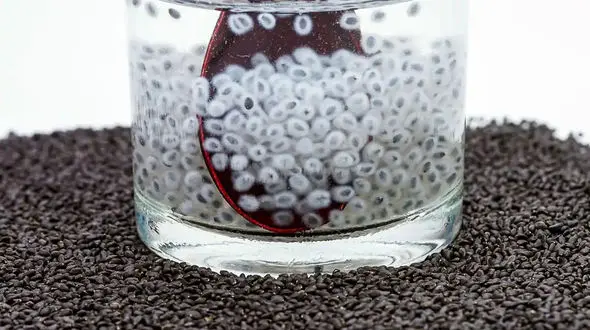 تخم شربتی را چگونه مصرف کنیم؟ نکات طلایی که باید بدانید