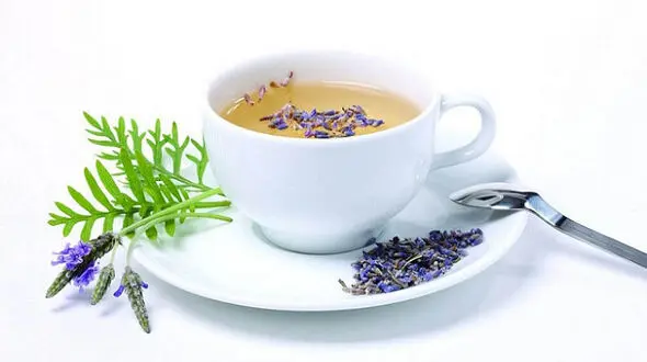 گیاهی که خواب آور طبیعی است