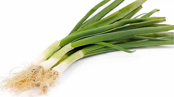 با این سبزی به جنگ عفونت بروید