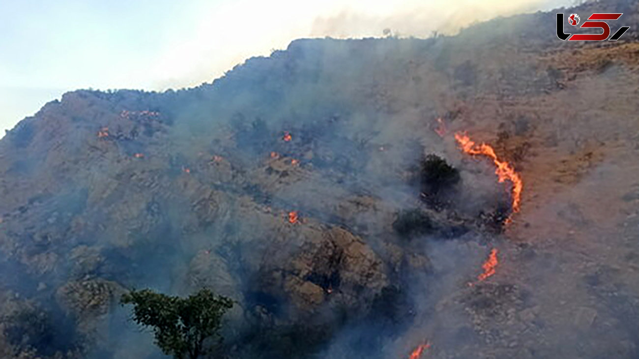 آتش سوزی جنگل های لنده پس از چهار روز مهار شد/ ‌آسیب 200 هکتاری