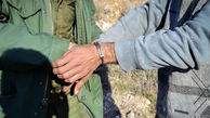 دستگیری شکارچیان گرازهای وحشی در قزوین