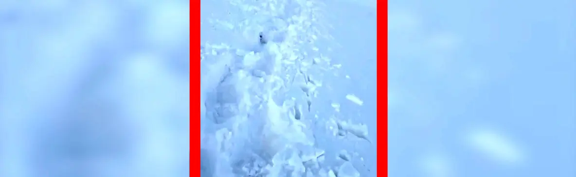 فیلم حجم سنگین برف در مسیر قله شیرباد بینالود