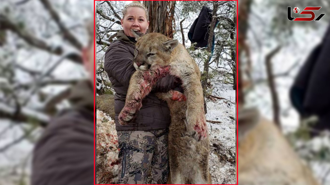 عکس جنجالی و دردناک زن شکارچی با شیر کوهی !