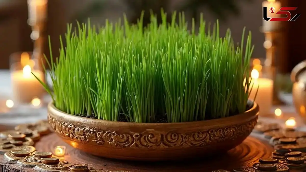 راهنمای انتخاب ظرف سبزه عید نوروز | ایده های خلاقانه و شیک