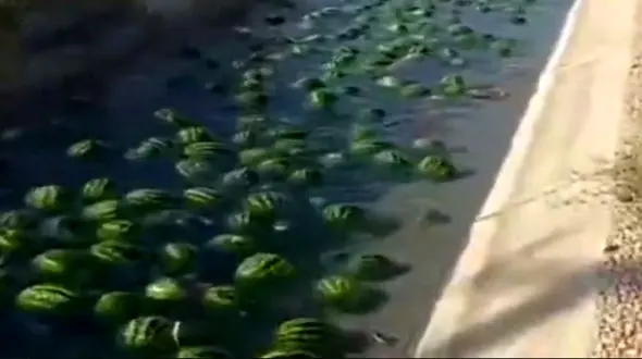 رودخانهٔ هندوانه در بوشهر 