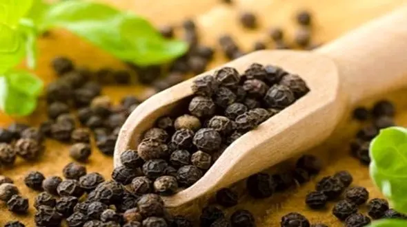 خاصیت درمانی این دانه های سیاه فراموش نشود