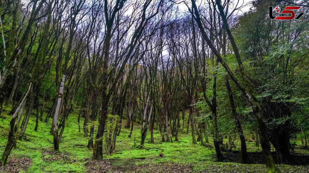 تابستان را خنک بگذران؛ بهترین مقاصد گردشگری در ایران