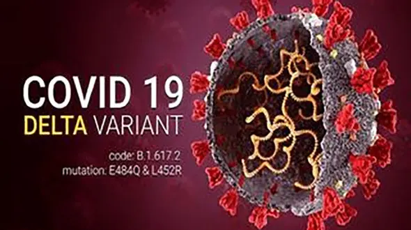 کرونای دلتا چیست؟ 