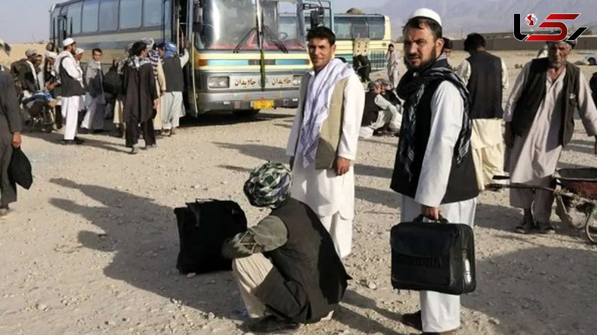 ۴ میلیون تبعه غیرمجاز، بدون سند هویتی وارد کشور شدهاند