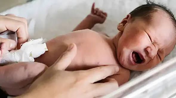قلب سالم مادر، کودکی سالم‌ تر؛ یافته‌ ای مهم برای دوران بارداری