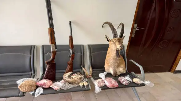 کشف یک سر تاکسیدرمی شده در خانه مرد کرمانی + عکس 