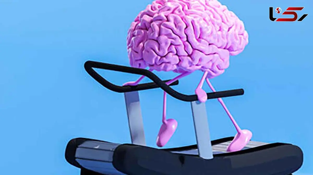 ورزش کنید تا مغزتان جوان بماند