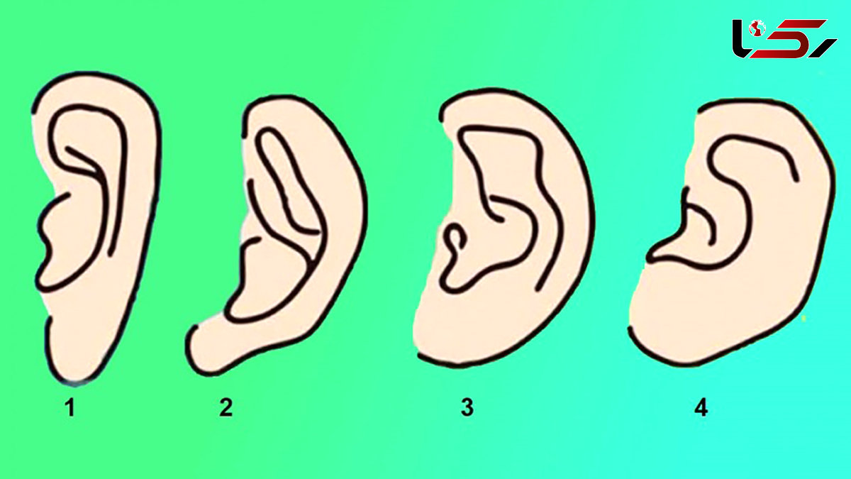 تست: از شکل گوش هایتان  خودتان را بشناسید! / مقایسه کنید !
