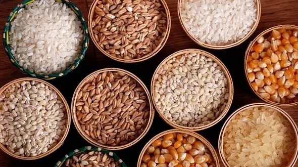 9 دانه روغنی که باید در رژیم غذایی تان باشد