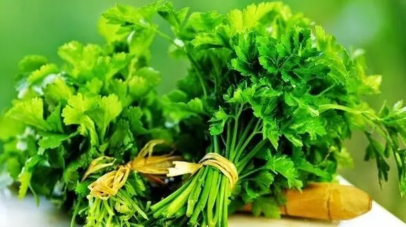 سبزی های رفع کننده بوی بد دهان