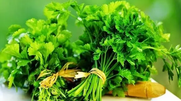 سبزی های رفع کننده بوی بد دهان