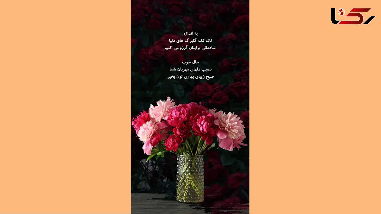 فال روزانه شخصی / 15خرداد ماه + فیلم