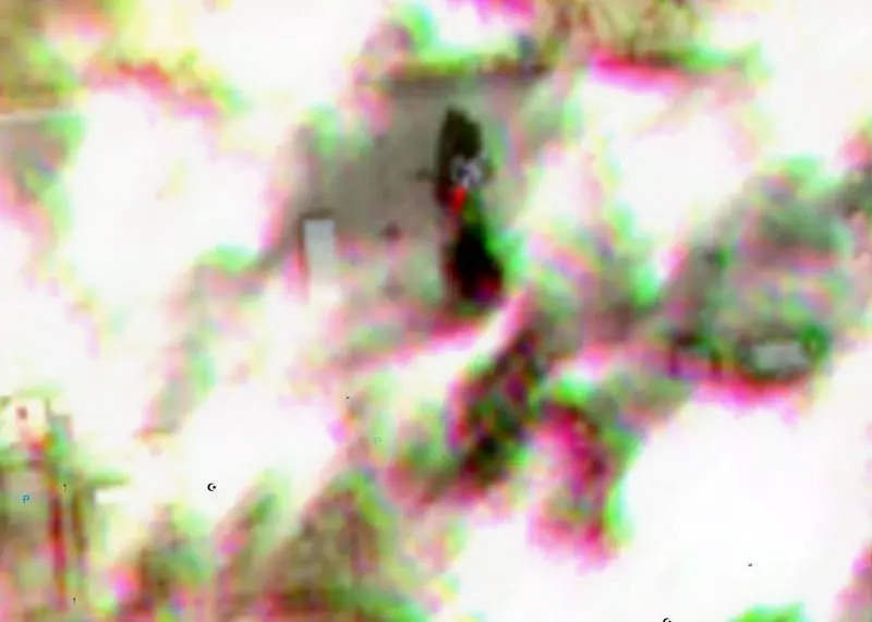 photo_2026-03-27_20-27-59