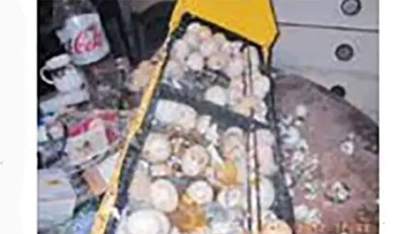 خانه ای پر از لاشه حیوانات + عکس