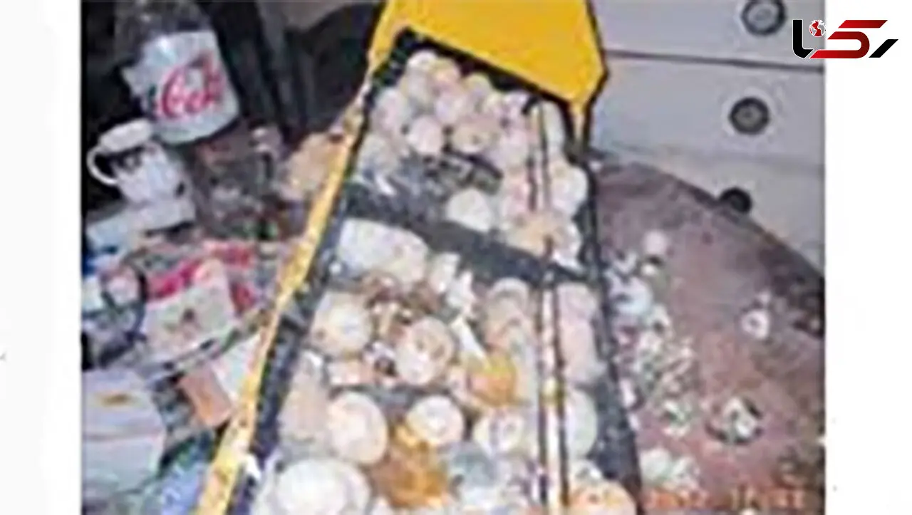 خانه ای پر از لاشه حیوانات + عکس