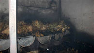 عکس های کارگاه مجسمه سازی که در آتش سوخت/ در مسعودیه رخ داد