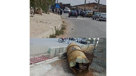 انفجار کپسول گاز کلر 50 نفر از اهالی روستا را مسموم و درختان را پژمرده کرد / ایلام +تصاویر