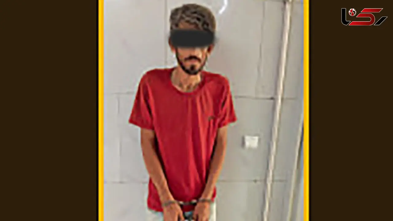 پرسه بی هدف دوچرخه سوار راز چند سرقت را فاش کرد