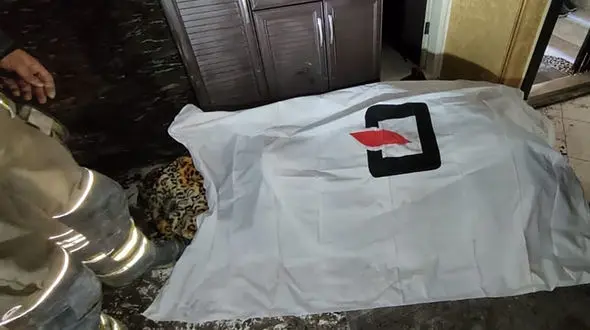 پلان آخر فرضیه جنایت در آتش سوزی مرگ بار جنوب تهران / یک مرد کشته شد