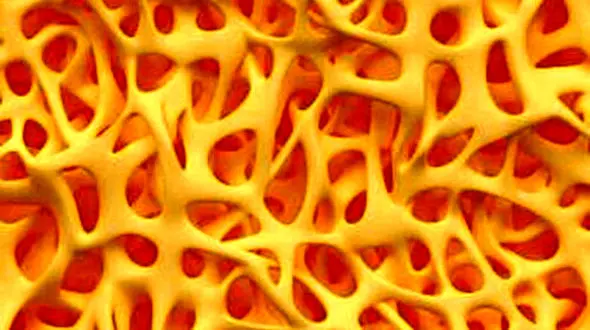 کرونا نقاط مثبتی هم دارد / سالمندان خوشحال شوند