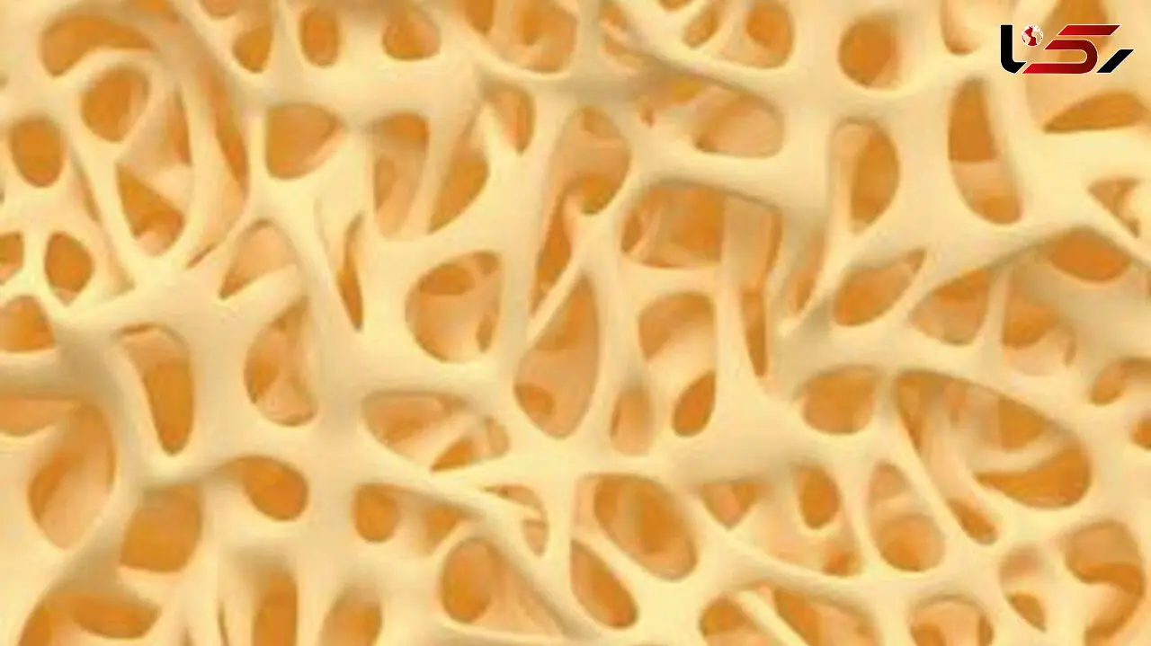 کرونا نقاط مثبتی هم دارد / سالمندان خوشحال شوند