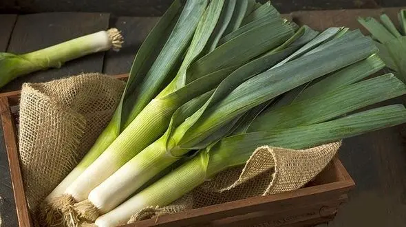 تقویت سیستم ایمنی بدن با غذاهای حاوی  پروبیوتیک 