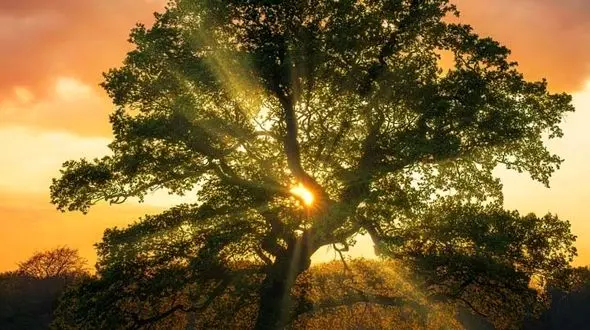 از خودشناسی تا زندگی کردن