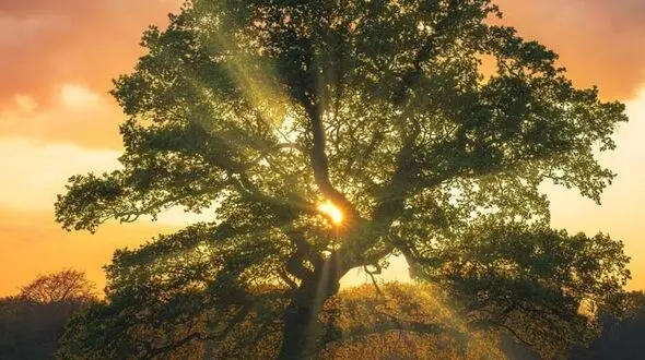 از خودشناسی تا زندگی کردن
