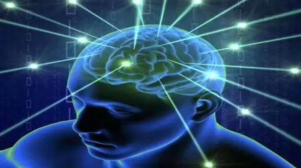 جی‌پی‌اس مغز کشف شد