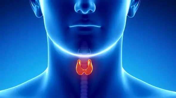 مشکلات تیروئید در دوران بارداری + فیلم