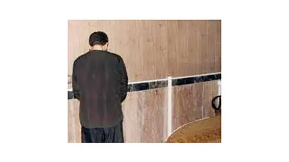 قتل مستانه نریمان در ورامین / او را نمی شناختم !