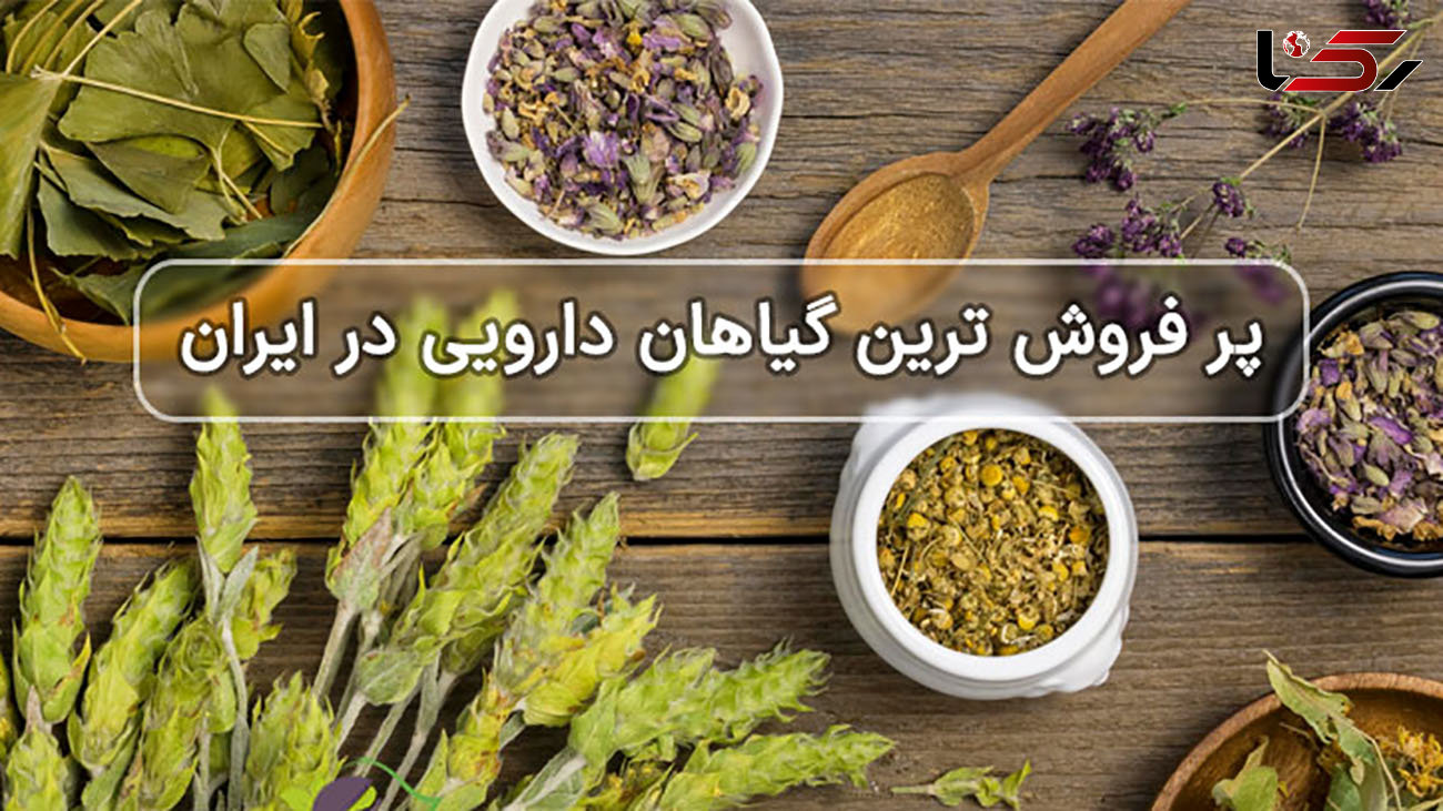 معرفی پرفروش ترین گیاهان دارویی در ایران + عکس