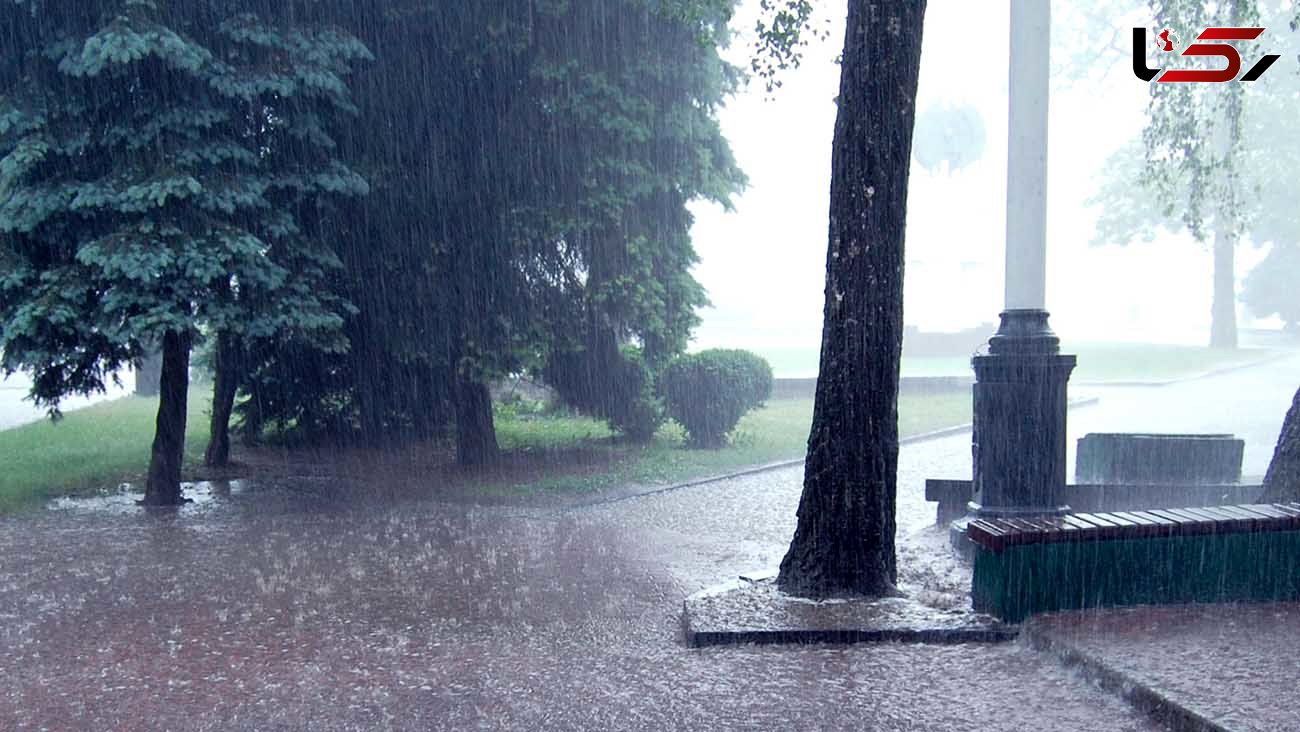 هشدار هواشناسی به بارش باران در برخی از استان ها / سامانه جدید وارد کشور شد