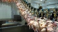 کاهش قیمت مرغ تا هفته آینده 