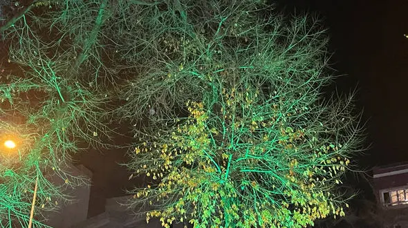 طالع بینی متولدین 7 دی ماه + فیلم