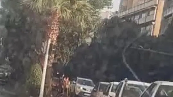 چهارراه های تهران محل کار اجباری ۷۰ هزار کودک خیابانی/ کم توجهی بهزیستی به مواد 33 تا 36 قانون حمایت از کودکان