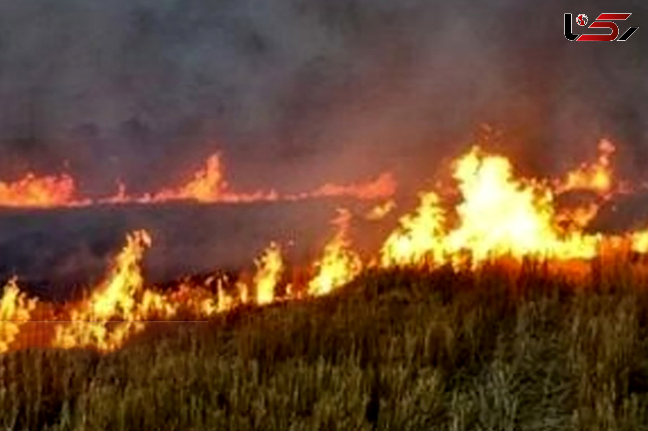 آتش‌سوزی های ادامه دار در منطقه حفاظت شده هامون