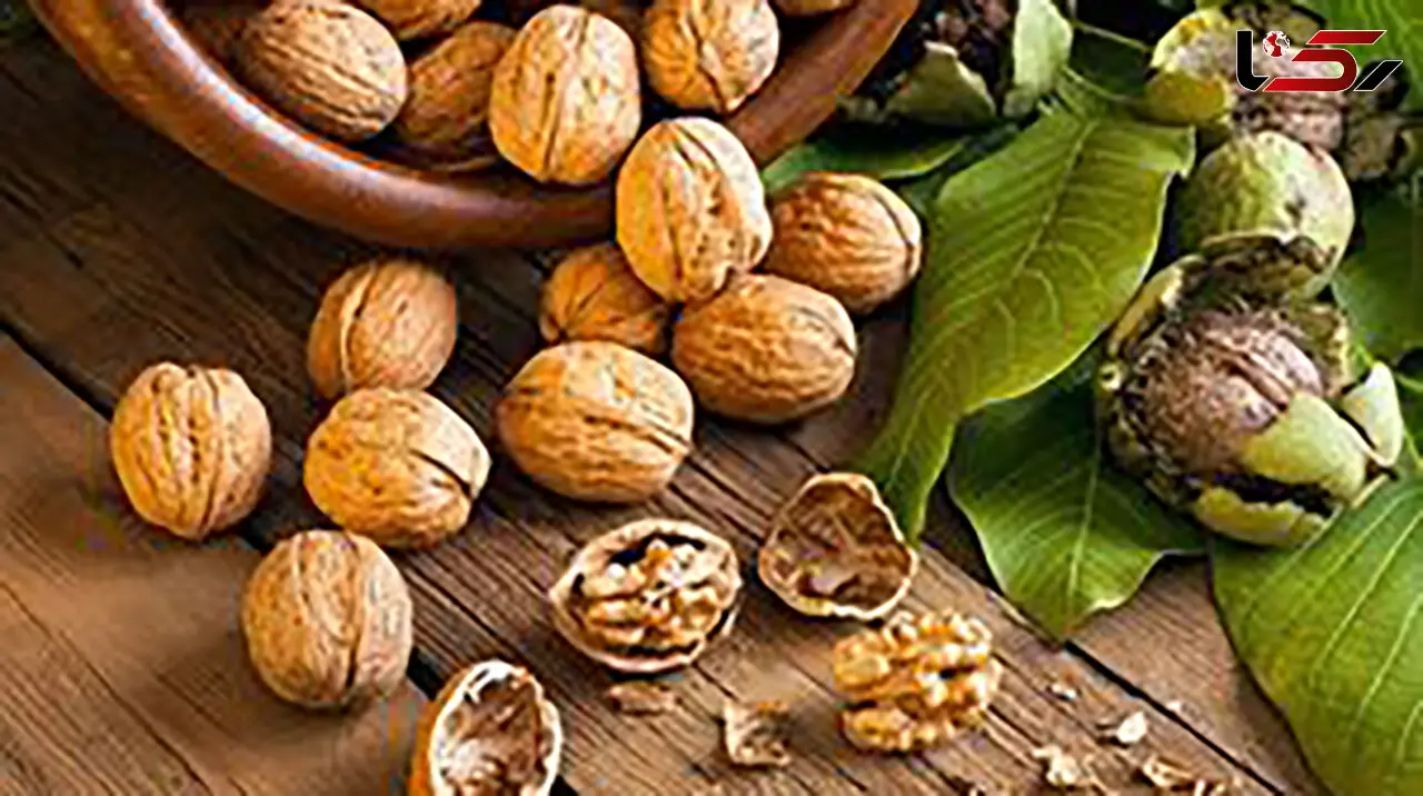 گردو بهترین جایگزین ماهی