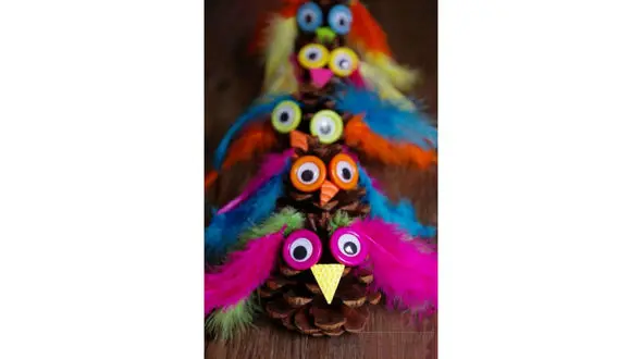 جوجه تیغی کاجی