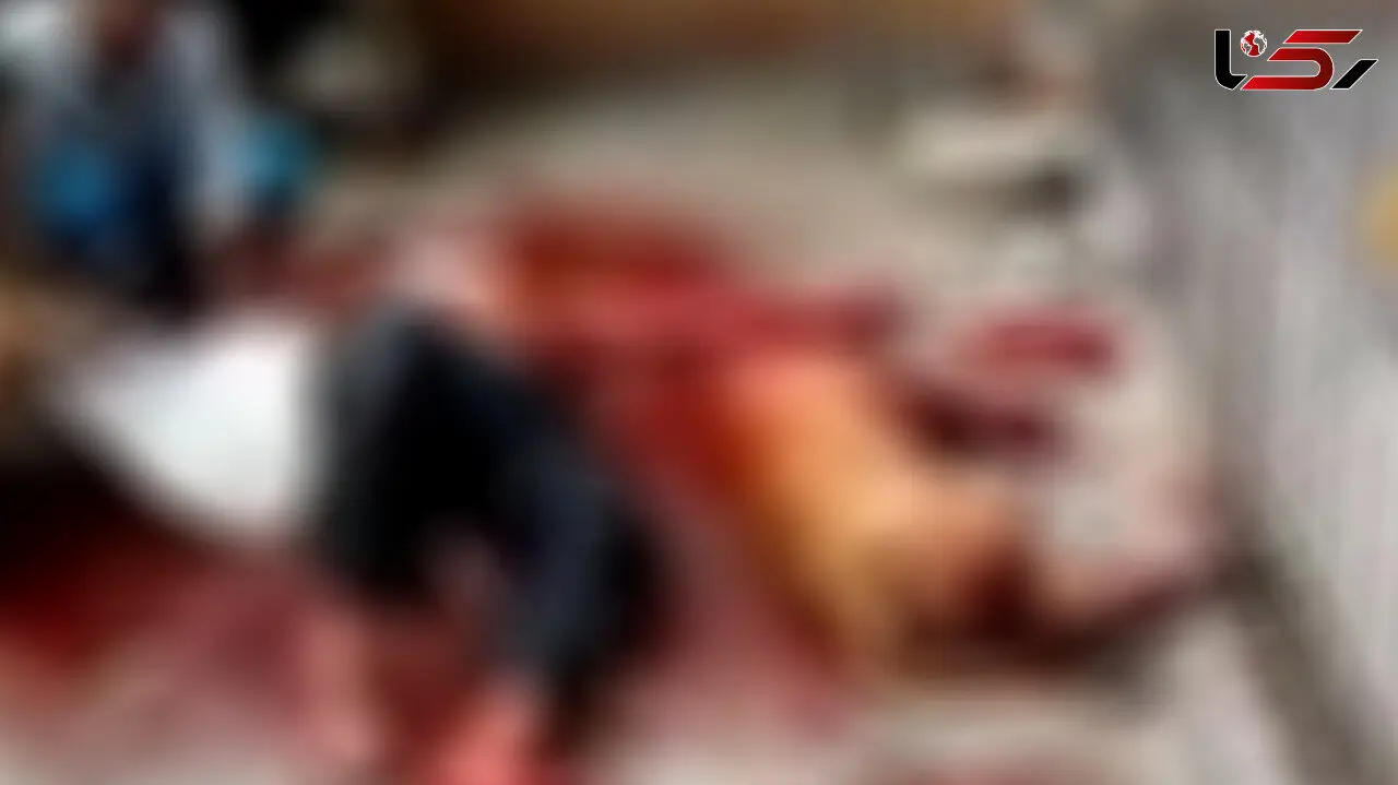 فیلم وحشتناک از حمله سگ به یک انسان / همه جا را خون گرفت 