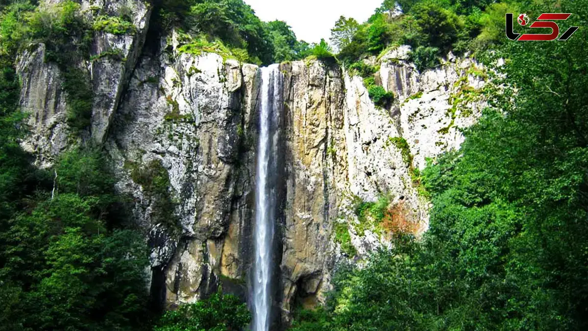 لاتون نگین یخ‌زده‌ی جنگل‌های گیلان + فیلم